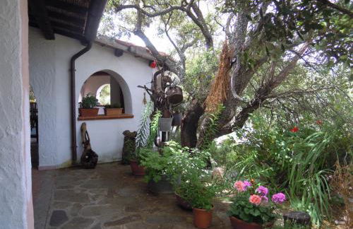 Agriturismo Camisadu - Foto 92