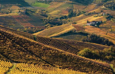 Le Rocche 1 - Foto 23