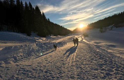 Appartement T2 calme - WiFi - Foto 18