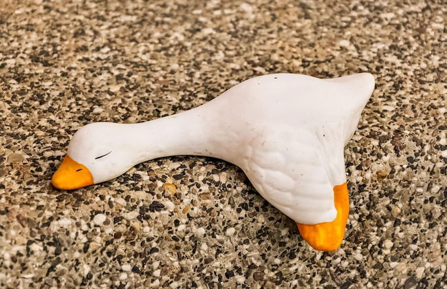 Modernes Ferienhaus in Thorstorf mit Sauna - Foto 30