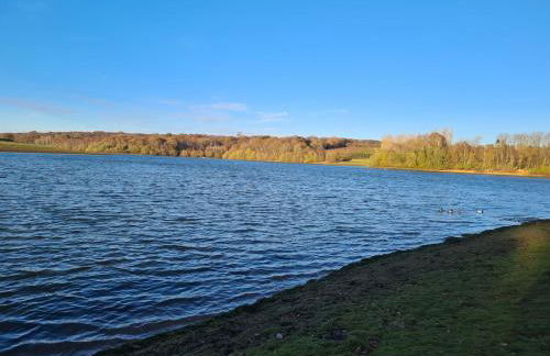 Cheerful, bright, cosy period cottage with hot tub - Foto 9