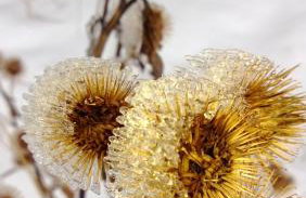 Studio Gościnne ANTEK - Foto 26