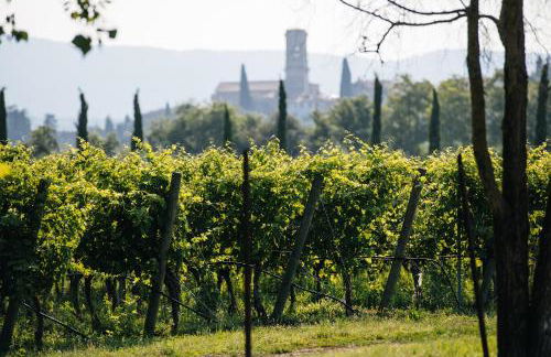 Dimora Buglioni Wine Relais - Foto 63