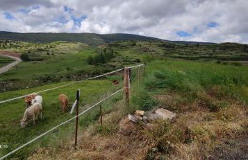 Casa Carla vute-22-056 - Foto 17