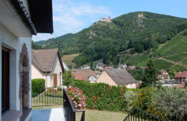 GITE KIENTZLER - Foto 1