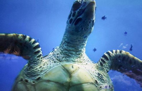 4 Bedroom Gorgeous Home In Bezinghem - Foto 32