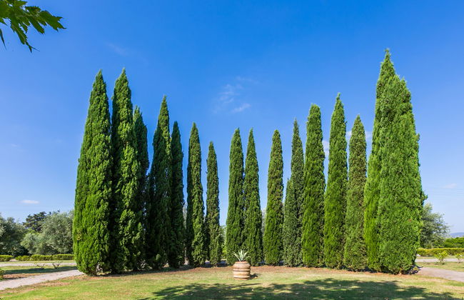 Quercia Alta - Foto 29