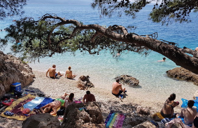 House Ante - Photo 24