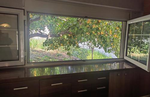 ILIAKTI RELAXING SEASIDE - Foto 15