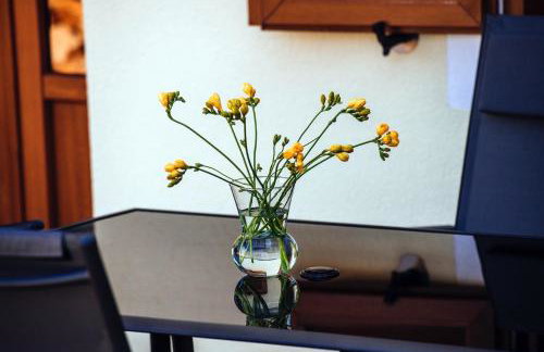 Roko Opaćac Veli IŽ,otok Iž - Foto 30