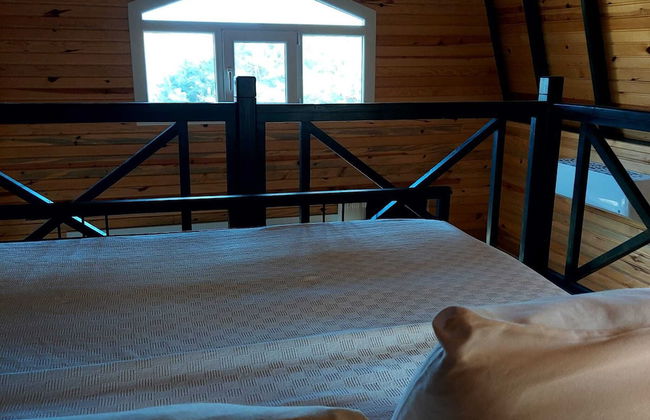 Sole Foca ( Ages 12+ ) - Foto 6