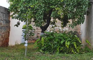 Dimora Collina 3 - Foto 16