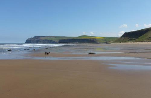 Griff Cottage, Skinningrove - Foto 9