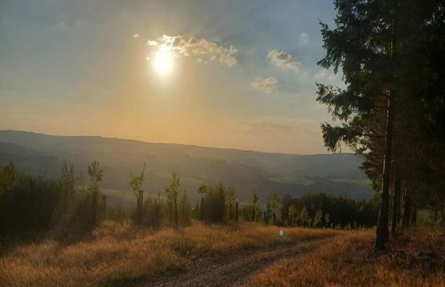 Cozy Nature Escape, Stoumont - Photo 25