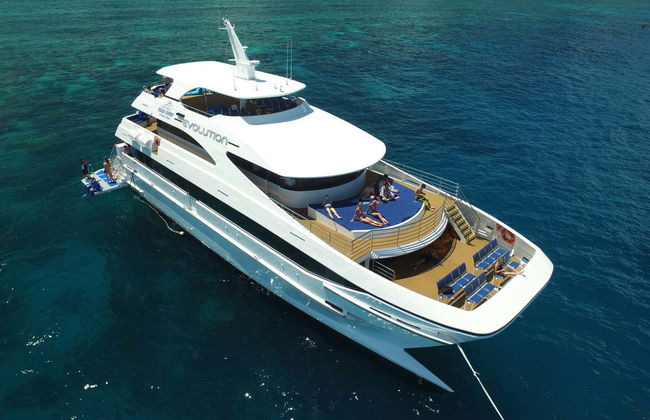 Great Barrier Reef Snorkeling Tour - Foto 3