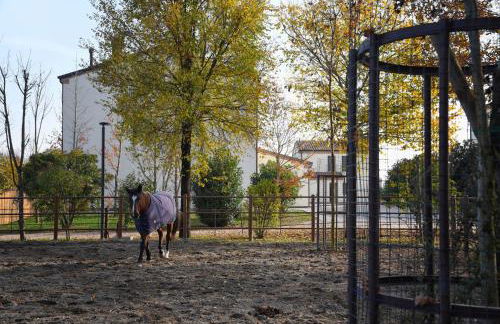 Agriturismo Corte Benetti - Foto 117