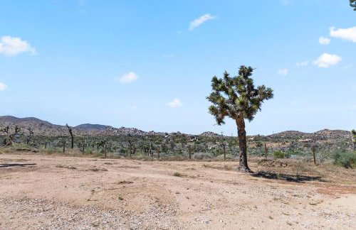 Wind Desert Spirit Pioneertown - Foto 15