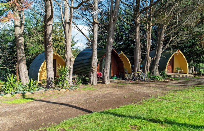 Morning Calm Lodge Limited - Photo 23