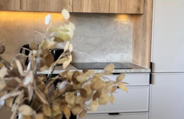 Family & Business Apartments PREMIUM SPA No 3 - 2 Bedroom with Private Jacuzzi, Balcony, Parking - Foto 78