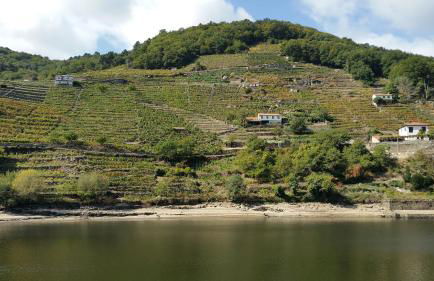 A CASA DO BUXO - Foto 53