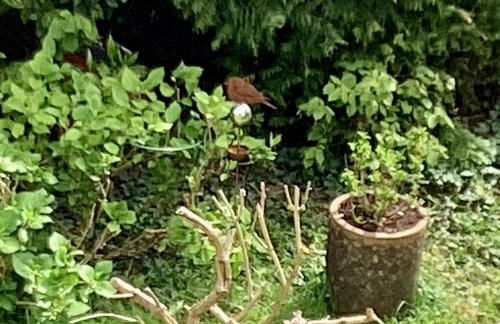 Good Life à Strasbourg - Foto 13