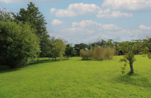 Little Willow - Foto 22