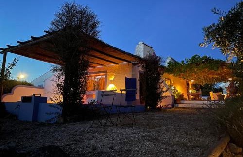 Courela do Monte Novo - Photo 13