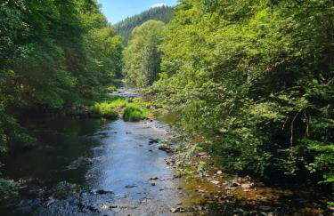 Ferienhaus Dröfter Blick - Foto 51