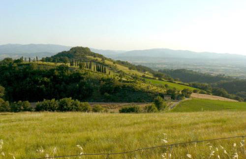 restored water mill with rockpools and waterfall - Foto 44