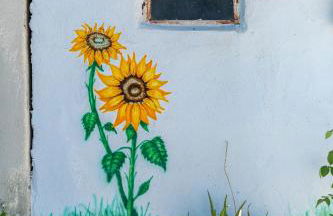 Elena's House - Photo 40