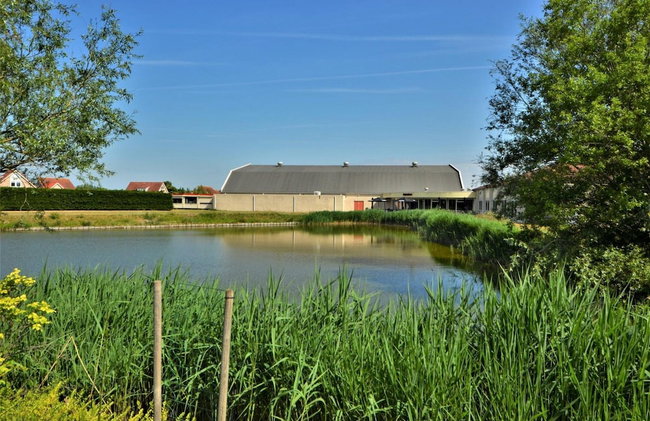 Lively Bungalow on the Water - Photo 27