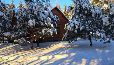 Pod Dębem Bis - Foto 4