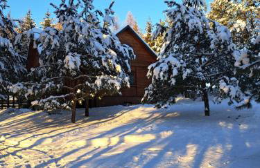 Pod Dębem Bis - Foto 4