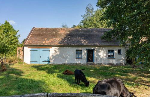 Ferienwohnung im Landschloss - Foto 30