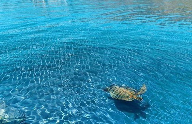 Yildiz Apart - Foto 35