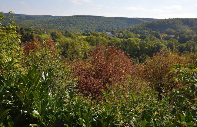 Superb House for Family Group with Swimming Pool, Sauna, Hot Tub, Billiards - Foto 40