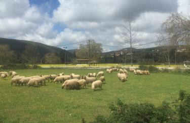 Robola Retreat Cottage - Photo 6