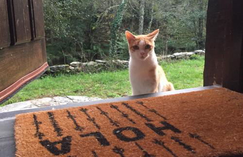 O Muíño da Balsiña - Foto 6