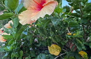 Los Arqueros Las Jacarandas - Photo 26