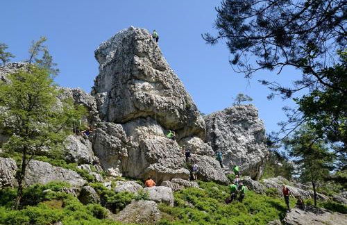 Ferienhaus Nr 20, Typ B, Feriendorf Jägerpark, Bayerischer Wald - Foto 25
