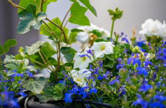 Centre historique terrasse & vue exceptionnelle - Foto 10