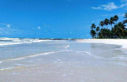 APARTAMENTO À BEIRA MAR - PÉ NA AREIA - Ilhéus - Photo 39