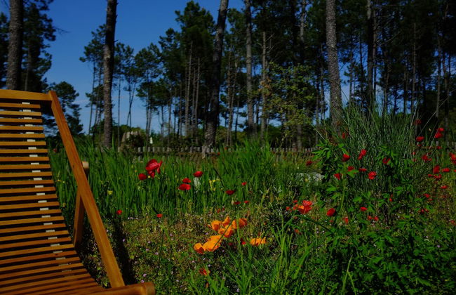 Cap'Cabane - Foto 16