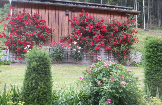 Holiday Home Tauchert - Foto 18