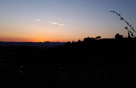 Casa di Giulia (Bambini gratis fino a 6 anni) - Foto 13