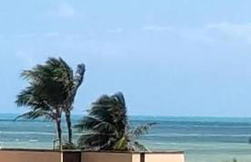 AP Solarina - 2 quartos a 80m da praia de Cumbuco e 150m do Chico do Caranguejo - Foto 53