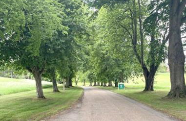 2 Bedroom Log Cabin - Photo 15