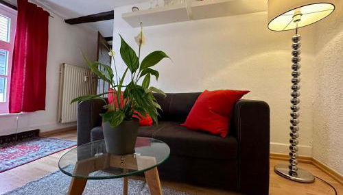 Baumeisterhaus Apartment - Foto 3