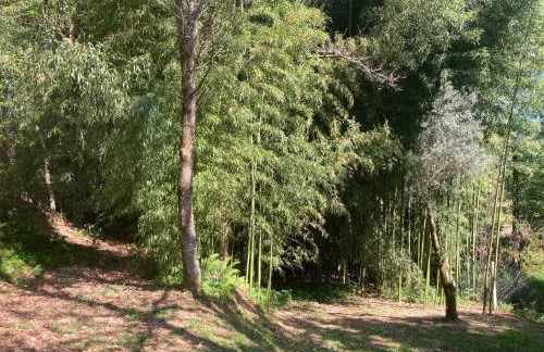 Casa da Assudra - Foto 54