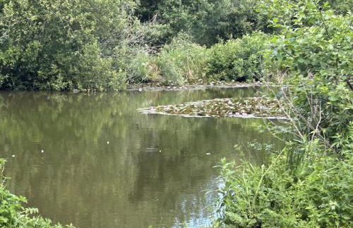 Willow End - Foto 25